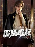 廢婿崛起