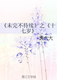 未完不待續之十七歲